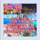 탐라스테이 제주 | 탐라스테이 호텔 가성비 숙소 추천｜제주 탐라스테이 최저가 비교 후기 + 탐라스테이 제주 오션뷰...