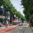 비아동 비아초등학교 kbc광주방송
