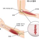 씨에스나무병원 이미지