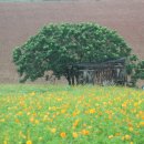 효감천농장 이미지