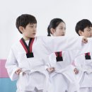 용인대 하나 태권도 이미지