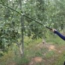 은영농장 이미지