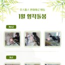 로하스일산병원 이미지