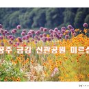 피어나공주