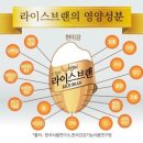 장세살연구소