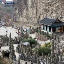 4월15(일)블야100명산-진안 마이산 벚꽃축제+암마이봉 정기산행(민혁) 이미지