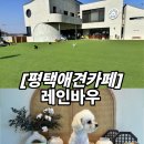 레인바우 | 평택 애견카페 ㅣ 평택 애견운동장 관리 잘되어있는 레인바우