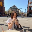 뷰티엠슬림 이미지