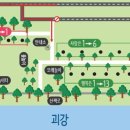 괴강관광농원 이미지