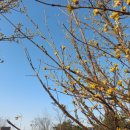 한들방죽공원 이미지