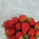 🍓 채윤이의 딸기요리 🍓 이미지