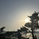 8 | 태안 무이림 제8 객실 후기, 가격/시설/예약 정보 포함