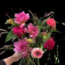 사전6-1 안길 이미지