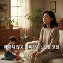 금쪽같은 우리아이 긍정적 훈육 과정 | 화내지 않고 훈육하기: 감정 코칭으로 아이 마음을 잇는 실전 가이드
