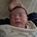 다온쿤 네이버블로그