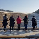 평화누리화원