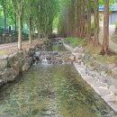 칠갑산자연휴양림 이미지