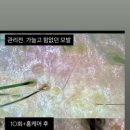 라라뷰티랜드제주