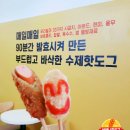 비엔나 이미지