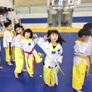 금강태권도 파워점핑 이미지