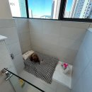 맘바이 루프탑 테라스 강아지 애견호텔 애견유치원 네이버블로그