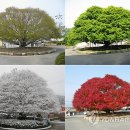 대구면사무소 이미지