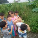 마송어린이집 이미지