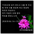 뜨끔한 명언, 아버지, 내가 죽는 날, 그때는 따뜻한 정이 있었습니다 외 이미지