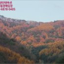춘천시동면상걸보건진료소 네이버블로그