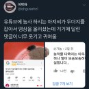 킬링타임으로 찌는 트위터캡쳐.twt 이미지