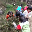 삼일어린이집 이미지