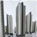 금터공인중개사 이미지