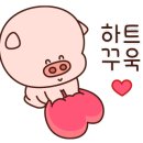 샐러디 부산종합운동장역점 이미지