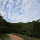 산유골 수목정원 이미지