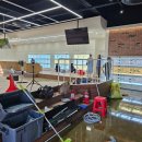 민들레애견 이미지