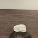제 1회 쏠챙선정 인생여행지, 호주 퍼스 여행 후기