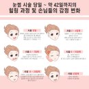 지니눈썹