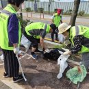 대성아파트경로당 이미지