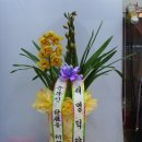 새명덕약국 이미지