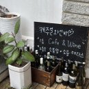 제주시청 근처 애견동반 브런치카페추천 트래블러 와인카페