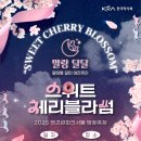 태민푸드 | “벚꽃축제 A to Z, 벚꽃홍보기획단 태민의 생생후기”