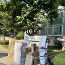 금곡 1주차장 화장실 | [평택 욕실 리모델링] 안중읍 금곡 우림아파트 화장실 공사, 철거부터 타일 덧방 시공까지 완벽 시공 후기!