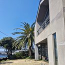 위미그라스 이미지