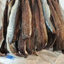 유성일등과메기 이미지