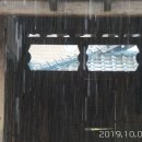 인천채씨열려문 Daum카페