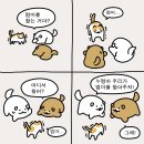 순진한 강아지 이미지