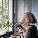 대나무와콩나물