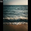 [일반시13.해일의 변명]07.해일(海溢)의 변명(辨明) 외 6편 이미지