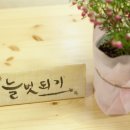 마을찻집마주이야기