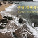 금진대게회식당